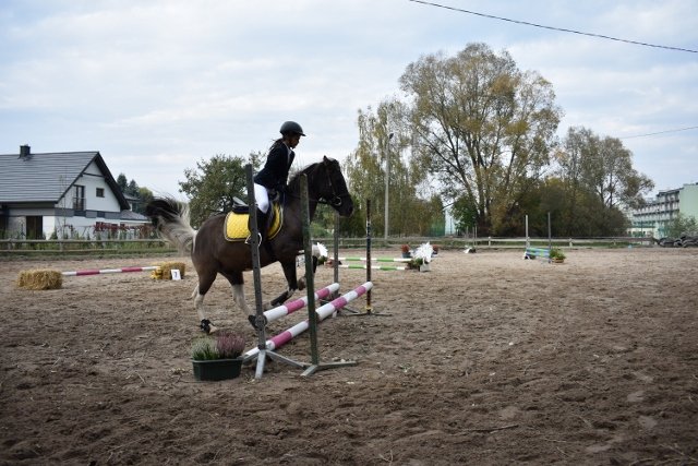 bABIE lATO 2018